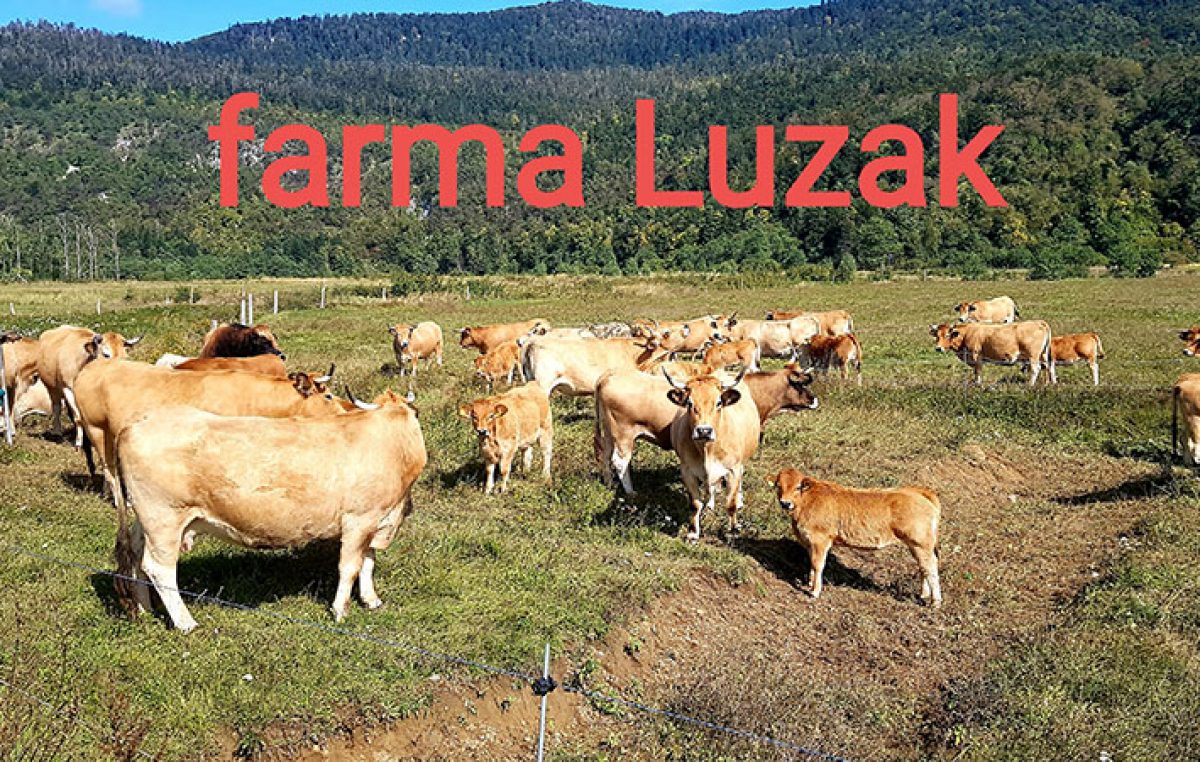 Dan otvorenih vrata Farme Lužak – Ove subote dođite u Lič i uz stručno vodstvo upoznajte svijet ekološkog uzgoja stoke