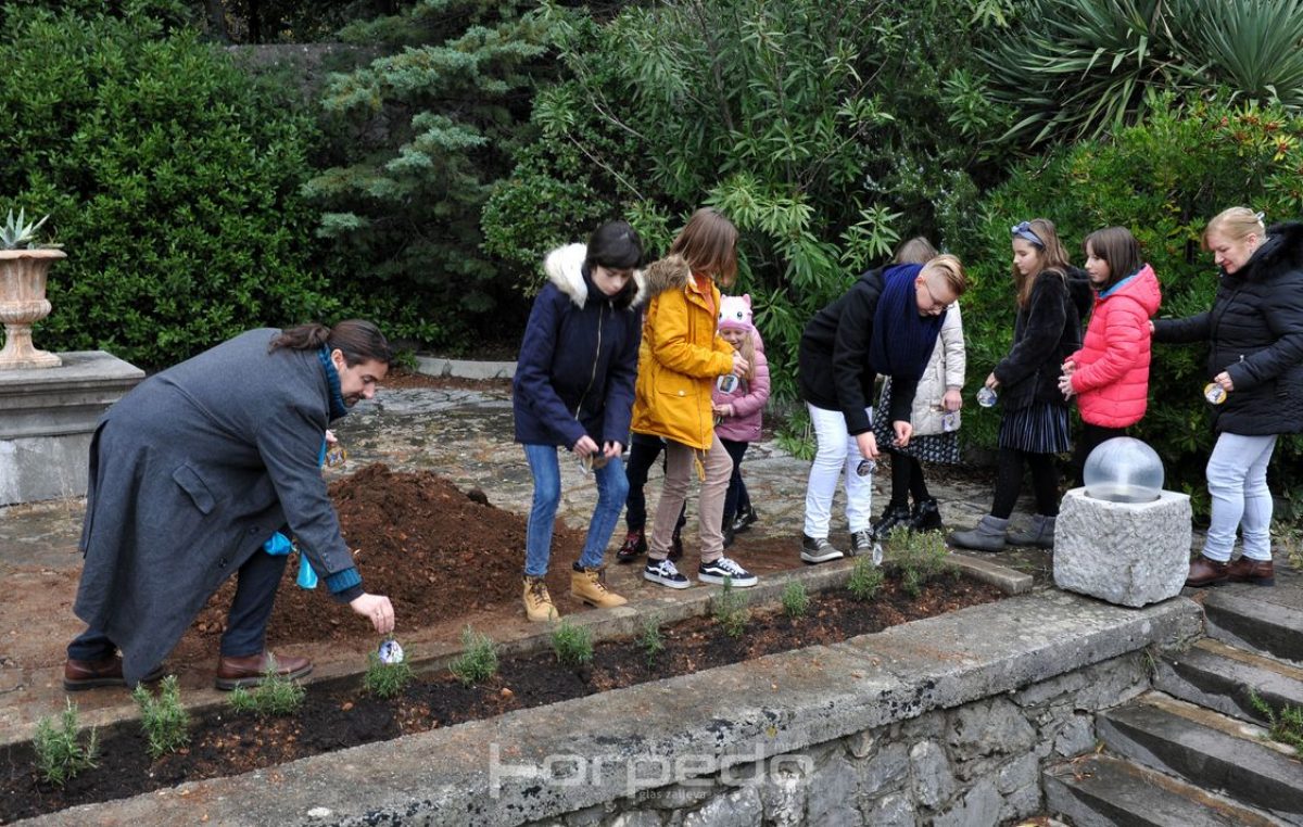 FOTO Villa Ružić privukla brojne građane na tradicionalnu inauguraciju jaslica i kićenje Petrarkinog ružmarina