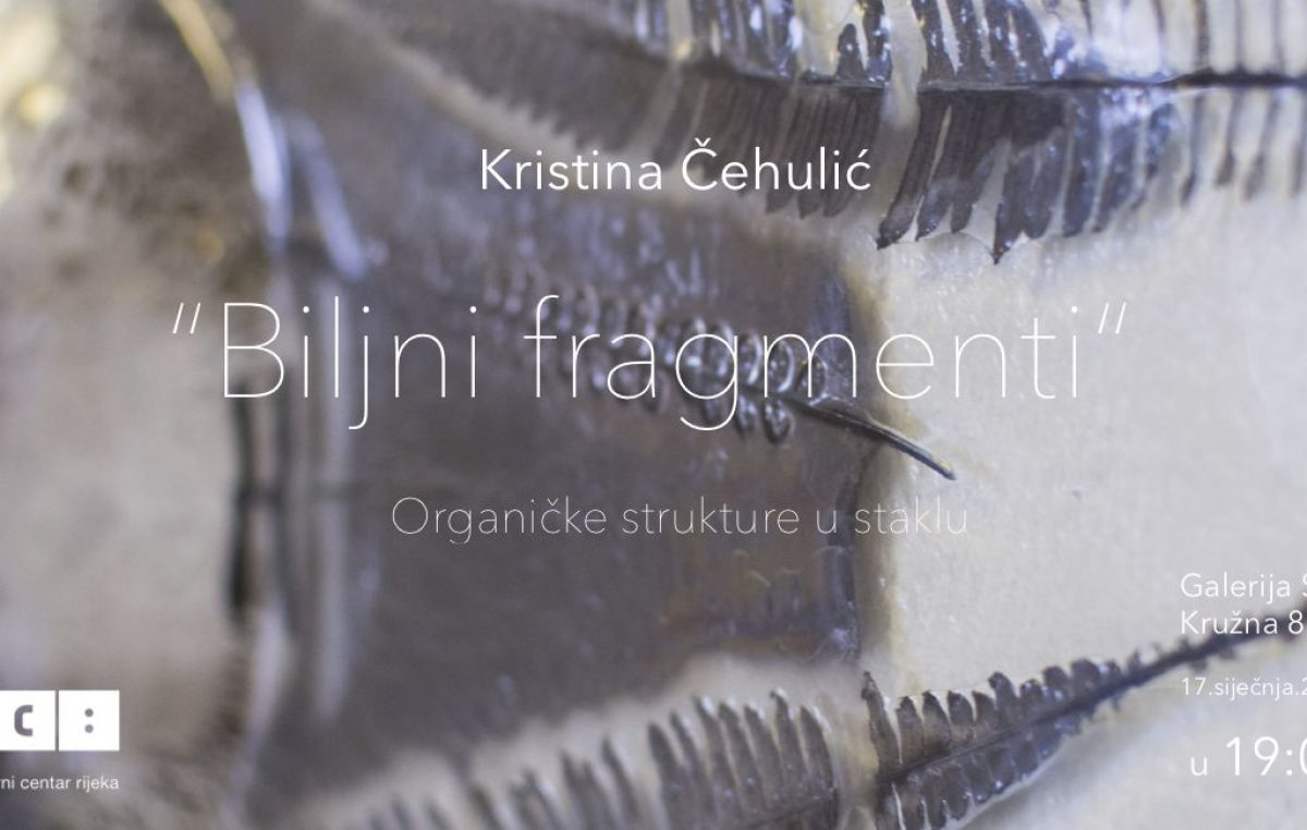 Danas otvorenje diplomske izložbe ‘Biljni fragmenti – organičke strukture u staklu’ Kristine Čehulić