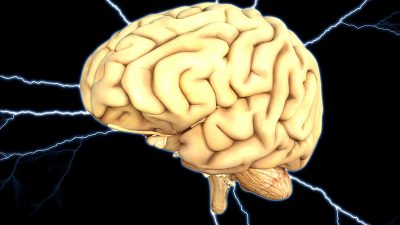 “Mozak i evolucija” središnja je tema 19. izdanja manifestacije Tjedan mozga koja će se sljedećeg tjedna održati i u Rijeci
