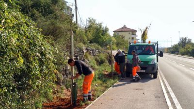 Održana akcija nastavka sadnje drvoreda na novoj cesti Hosti-Viškovo