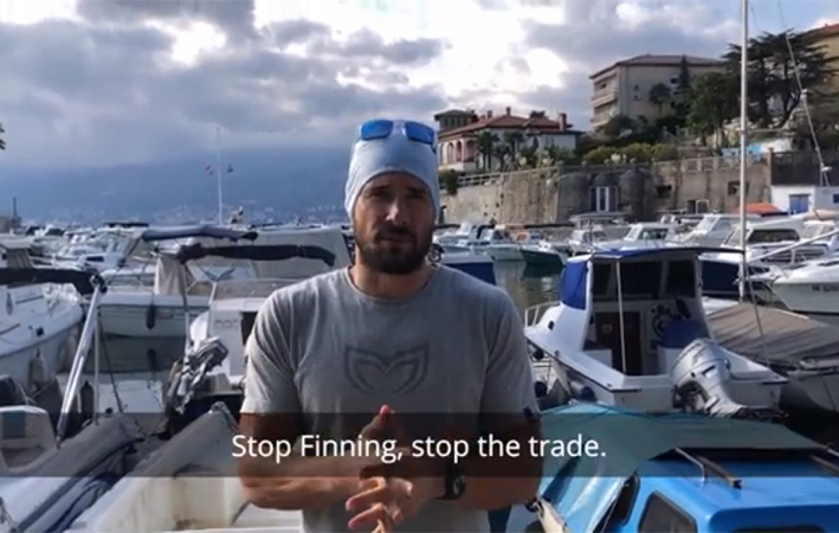 VIDEO Jedan od najboljih svjetskih ronioca na dah Vitomir Maričić pridružio se EU inicijativi koja se bori protiv sakaćenja morskih pasa