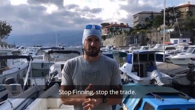 VIDEO Jedan od najboljih svjetskih ronioca na dah Vitomir Maričić pridružio se EU inicijativi koja se bori protiv sakaćenja morskih pasa