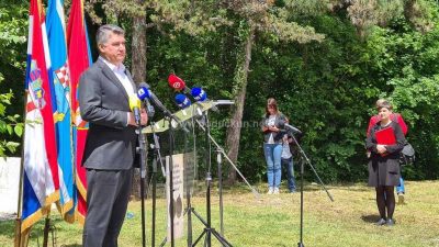 Predsjednik Milanović: Ja i dalje ne razumijem čemu služe te covid-putovnice
