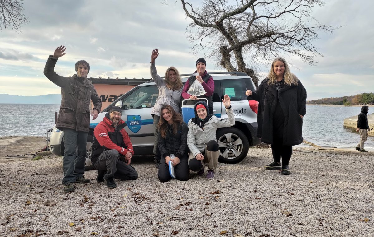 Ohrabrujuća vijest – pronađena živa mlada periska na lokalitetu Plavnik